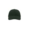 Miniatyrbild 3 av 3: Atlantis Liberty Five Heavy Brush Cotton 5 Panel Cap