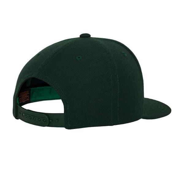 Flexfit Herre Classic Snapback Cap