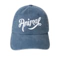 Miniatyrbilde 1 av 4: Animal Womens/Ladies Sophia Coastal Cap