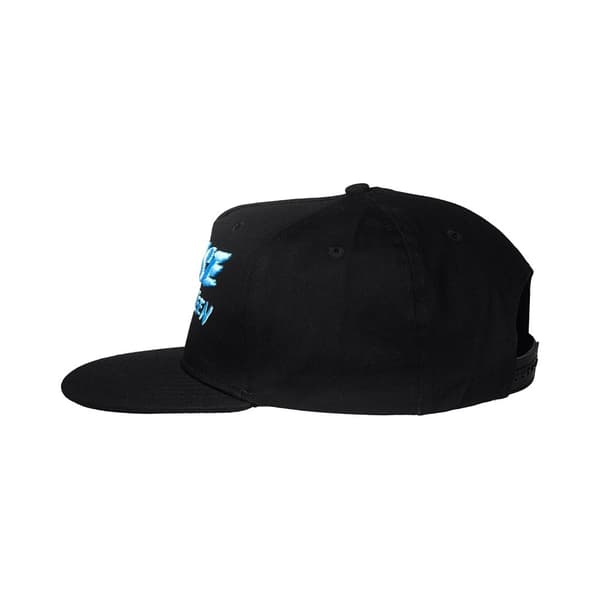 Bruce Springsteen Unisex Adult The River Logo Snapback Cap