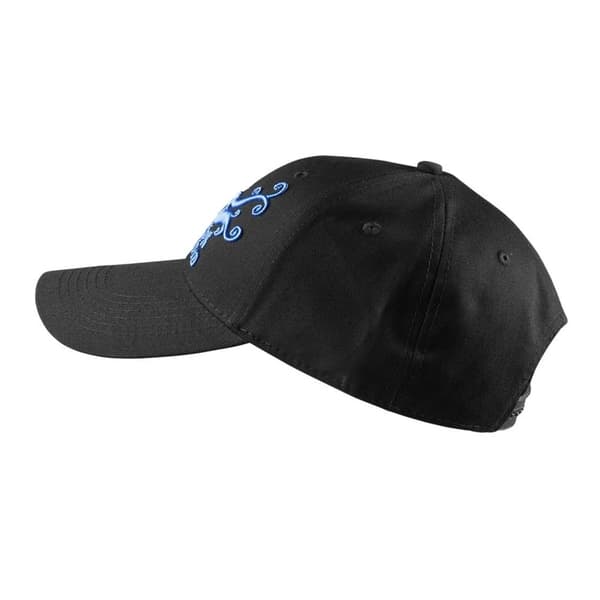 Pink Floyd Unisex Adult Dark Side of the Moon Swirl Baseball Cap