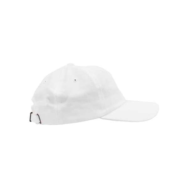 Flexfit Unisex Adult Cotton Twill Low Profile Cap