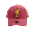 Miniatyrbilde 1 av 2: Liverpool FC Mass Basic Liver Bird Cap