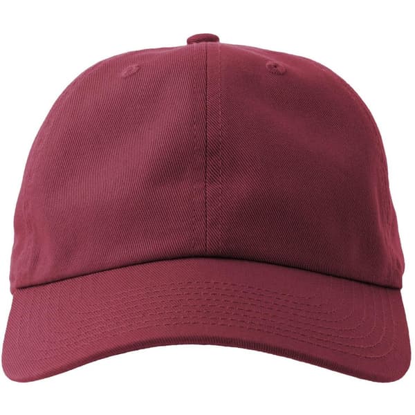 Atlantis Unisex Vuxen Dad Sustainable Baseball Cap med 6 paneler