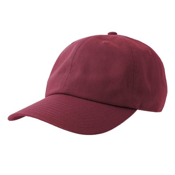 Atlantis Unisex Vuxen Dad Sustainable Baseball Cap med 6 paneler