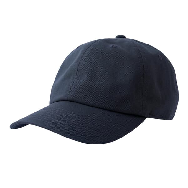 Atlantis Unisex Vuxen Dad Sustainable Baseball Cap med 6 paneler