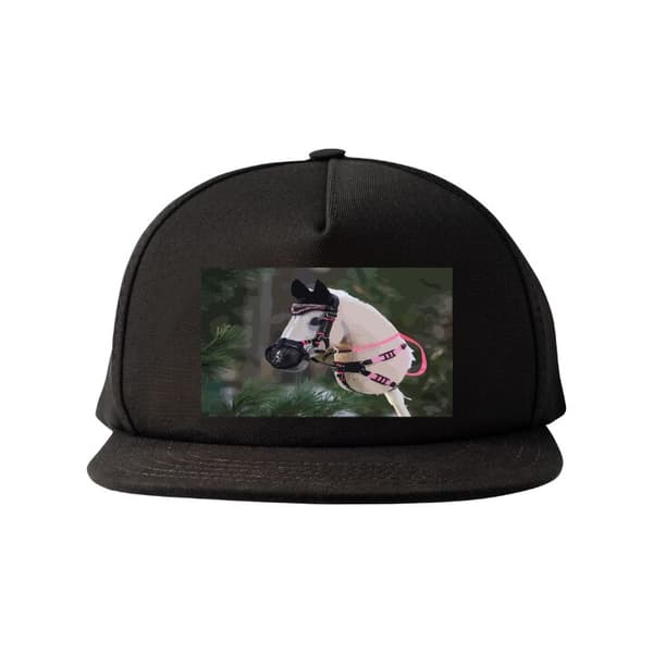Snapback Keps | Bekväm och Justerbar för Vuxna Käpphäst