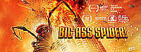 Big Ass Spider DVD (2013) Lin Shaye, Mendez (DIR) cert 15 Englist Brand New