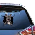 Miniatyrbild 3 av 3: Bildekal - Glad Fransk Bulldog