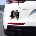 Miniatyrbild 2 av 3: Bildekal - Glad Fransk Bulldog