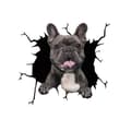 Miniatyrbild 1 av 3: Bildekal - Glad Fransk Bulldog