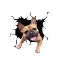 Miniatyrbild 1 av 3: Bildekal - Bulldogsvalp