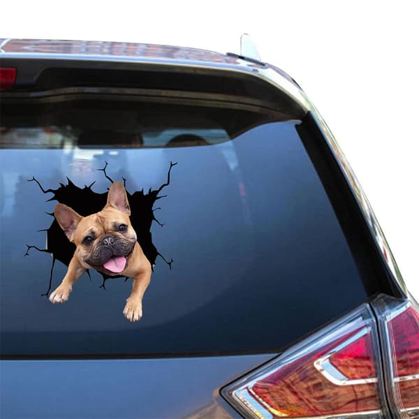 Tarra - Bulldogin pentu