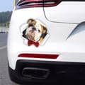 Pikkukuva 2 / 3: Autotarra Englanninbulldoggi