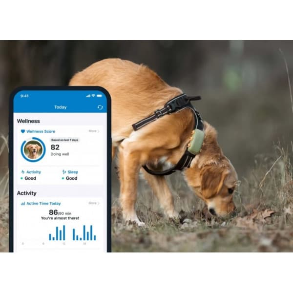 Tractive GPS Hund XL - hundens GPS-sporefinder