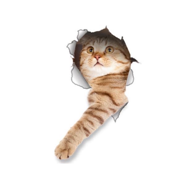 Bildekal - Katt som strekker ut labben