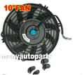 Thumbnail 11