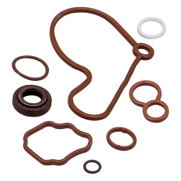 Vacuum Tandem Pumpe Reparationssæt, Volkswagen Audi A4, 20 TDI 2004-2009