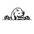 Miniatyrbild 3 av 4: Bildekal med glad hund i PET-material och vattentålig design