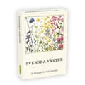 Miniatyrbild 1 av 2: Svenska växter