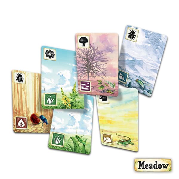 Meadow