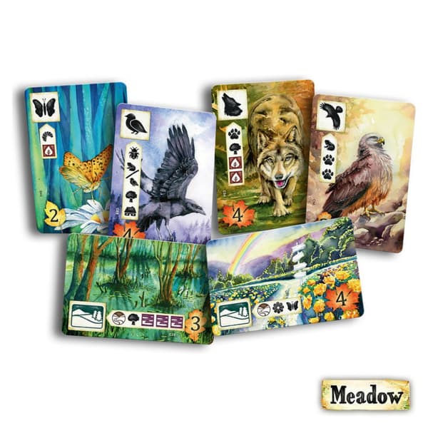 Meadow