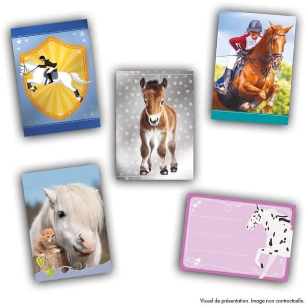 Startpaket - PANINI - Kortsamling för hästfantaster - Innehåller 1 pärm + 2 fickor