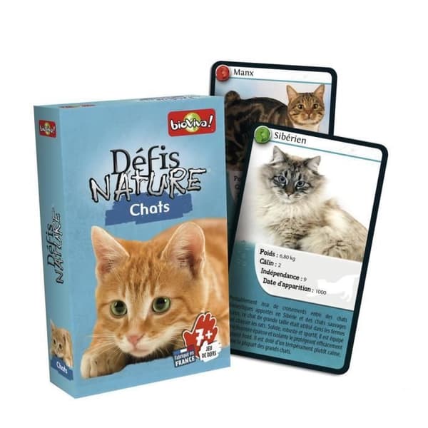 Utmaningar Natur Samtal Spel