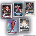 Pikkukuva 3 / 3: Album - PANINI - Basket NBA US 2024/25