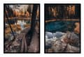 Miniatyrbillede 1 af 3: BILLEDPOSTERE I RAMME 53x73cm Diptych Sæt med 2 malerier Efterårssø P1709