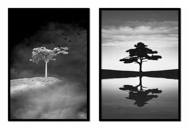 TAVELPOSTERS I RAM 53x73cm Diptyk Set med 2 målningar Lonely Tree P1719