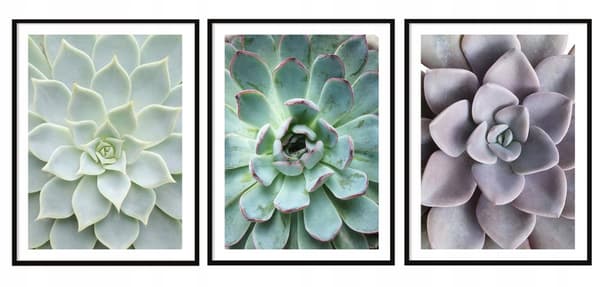 KEHYSJULISTEITA 53x73cm Triptyykki 3 maalauksen setti Lehdet Kukat P2006