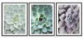 Pikkukuva 1 / 3: KEHYSJULISTEITA 53x73cm Triptyykki 3 maalauksen setti Lehdet Kukat P2006