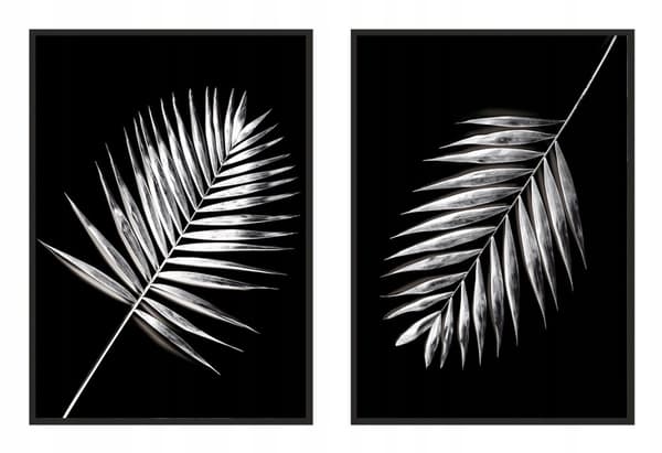 BILLEDPOKATER I RAMME 33x43cm Diptych Sæt med 2 billeder Minimalisme Blade P977