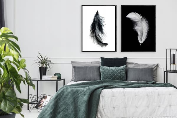 TAVELPOSTERS I RAM 33x43cm Diptyk Set med 2 tavlor Minimalism Fjädrar P976