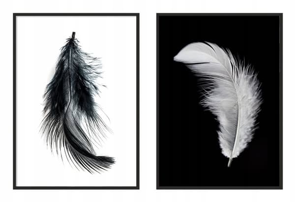 TAVELPOSTERS I RAM 33x43cm Diptyk Set med 2 tavlor Minimalism Fjädrar P976