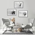Miniatyrbild 2 av 3: TAVELPOSTRAR I RAM 53x73cm Triptyk Set med 3 tavlor Hjort DJUR P734