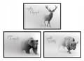 Miniatyrbild 1 av 3: TAVELPOSTRAR I RAM 53x73cm Triptyk Set med 3 tavlor Hjort DJUR P734