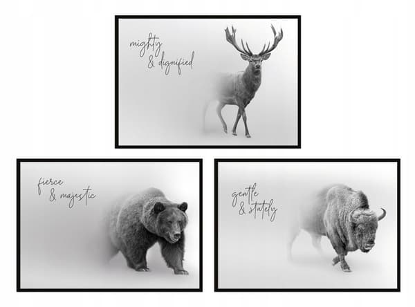 TAVELPOSTRAR I RAM 53x73cm Triptyk Set med 3 tavlor Hjort DJUR P734