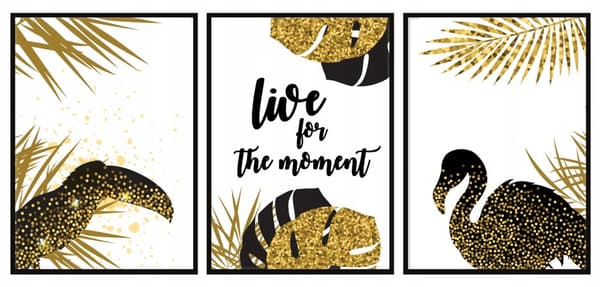 TAVELPOSTERS I RAM 53x73cm Triptyk Set med 3 bilder LEV NÖJETIDEN live P576