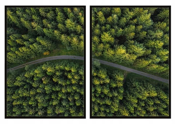 KUVIA KEHYSSÄ 53x73cm Diptych 2 kuvan setti Tie Metsäpolku P725