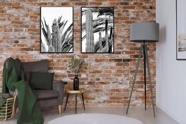BILLEDER I RAMME 53x73cm Diptych Sæt med 2 billeder Kaktus Sort Hvid P726