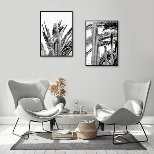 BILLEDER I RAMME 53x73cm Diptych Sæt med 2 billeder Kaktus Sort Hvid P726