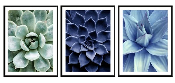 KEHYSJULISTEITA 73x53cm Triptyykki 3 kuvan setti Kukat Lehdet P2004