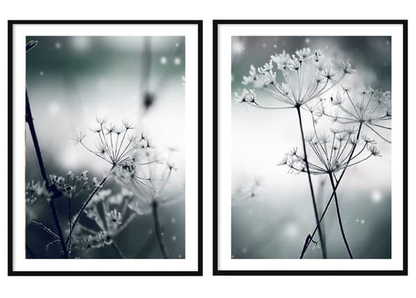 TAVELPOSTERS I RAM 53x73cm Diptyk Set med 2 tavlor Maskrosor Boho P2073