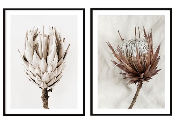 KEHYSJULISTEITA 53x73cm Diptyykki 2 kuvan setti Boho Flowers P2080