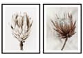 Pikkukuva 1 / 3: KEHYSJULISTEITA 53x73cm Diptyykki 2 kuvan setti Boho Flowers P2080