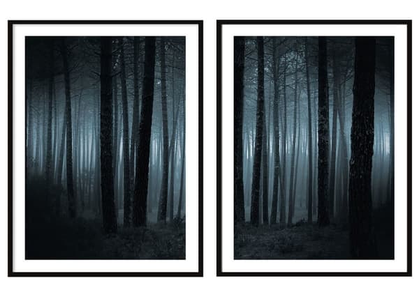 KEHYSJULISTEITA 53x73cm Diptyykki 2 kuvan setti Kielletty metsä P290