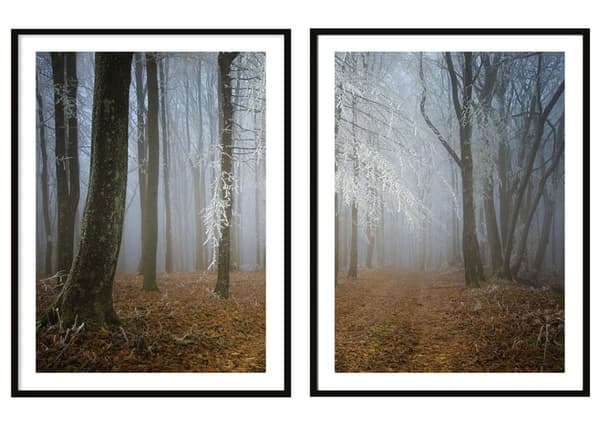 KEHYSJULISTEITA 53x73cm Diptyykki 2 maalauksen setti Syysmetsä P2093