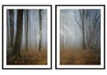 Pikkukuva 1 / 3: KEHYSJULISTEITA 53x73cm Diptyykki 2 maalauksen setti Syysmetsä P2093